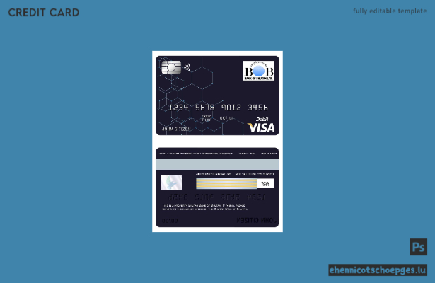 Beispielvorschau der Visa-Karte der Bank von Bhutan